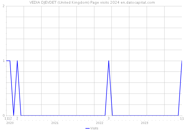 VEDIA DJEVDET (United Kingdom) Page visits 2024 