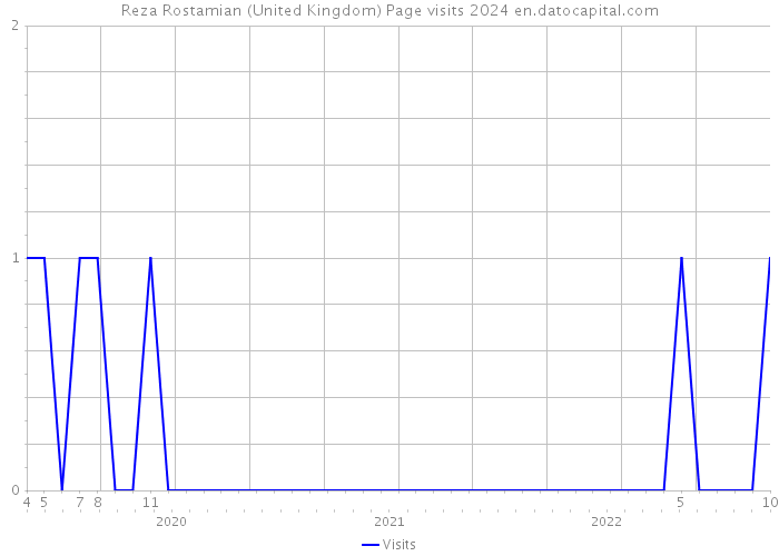 Reza Rostamian (United Kingdom) Page visits 2024 