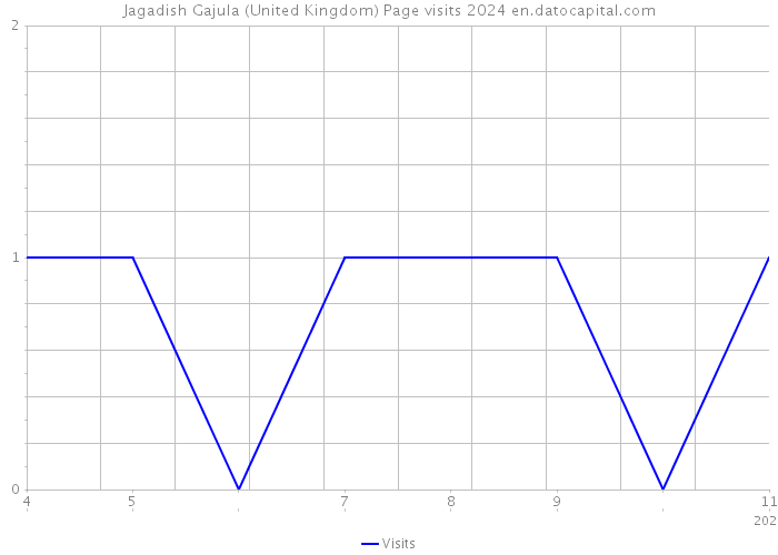 Jagadish Gajula (United Kingdom) Page visits 2024 