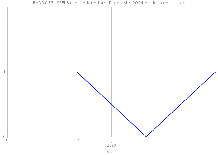 BARRY BRUSSELS (United Kingdom) Page visits 2024 