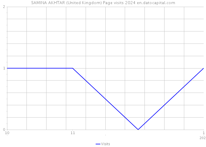 SAMINA AKHTAR (United Kingdom) Page visits 2024 