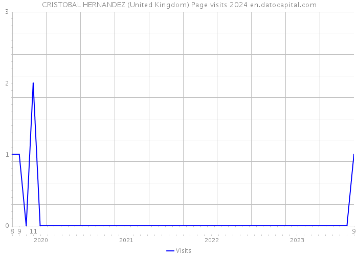 CRISTOBAL HERNANDEZ (United Kingdom) Page visits 2024 