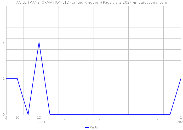 AGILE TRANSFORMATION LTD (United Kingdom) Page visits 2024 