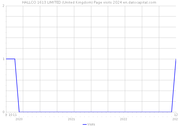 HALLCO 1613 LIMITED (United Kingdom) Page visits 2024 