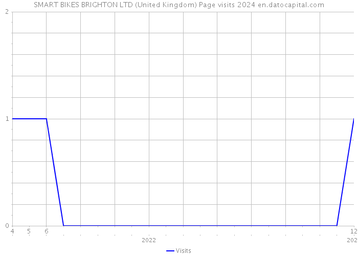 SMART BIKES BRIGHTON LTD (United Kingdom) Page visits 2024 