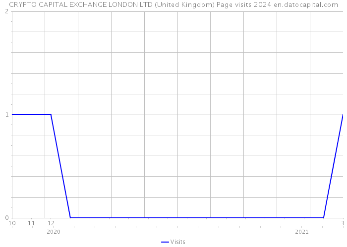CRYPTO CAPITAL EXCHANGE LONDON LTD (United Kingdom) Page visits 2024 