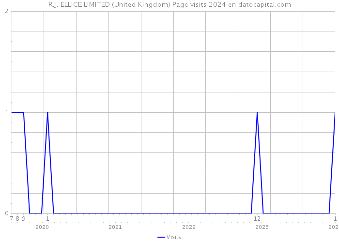 R.J. ELLICE LIMITED (United Kingdom) Page visits 2024 