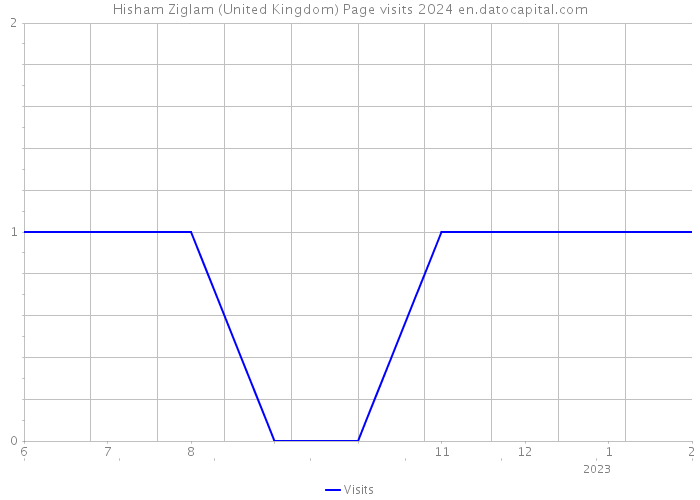 Hisham Ziglam (United Kingdom) Page visits 2024 