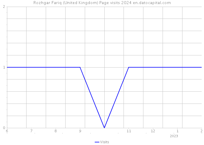 Rozhgar Fariq (United Kingdom) Page visits 2024 