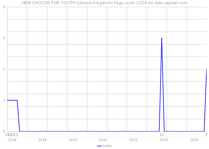 NEW CHOICES FOR YOUTH (United Kingdom) Page visits 2024 