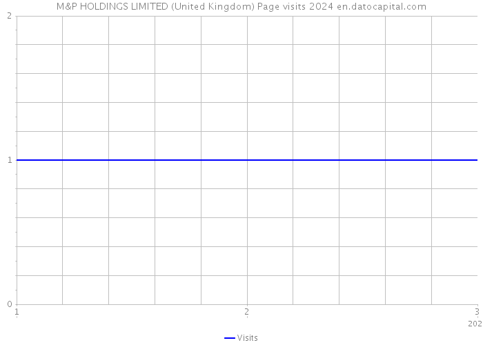 M&P HOLDINGS LIMITED (United Kingdom) Page visits 2024 