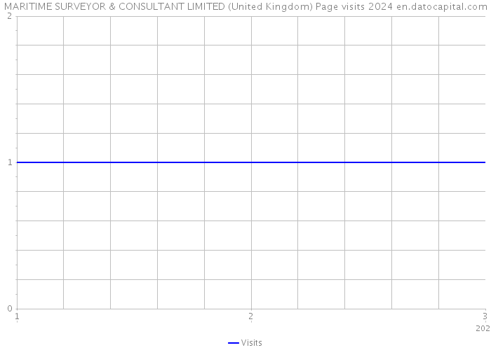 MARITIME SURVEYOR & CONSULTANT LIMITED (United Kingdom) Page visits 2024 