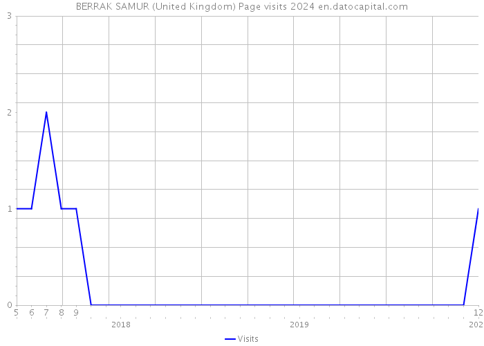 BERRAK SAMUR (United Kingdom) Page visits 2024 