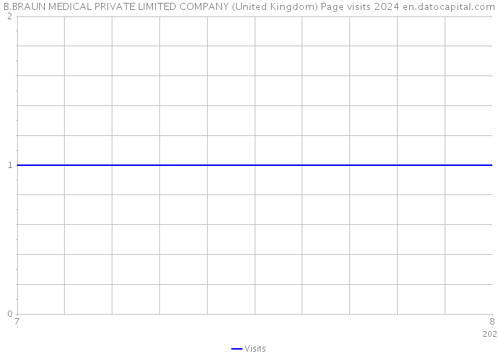 B.BRAUN MEDICAL PRIVATE LIMITED COMPANY (United Kingdom) Page visits 2024 