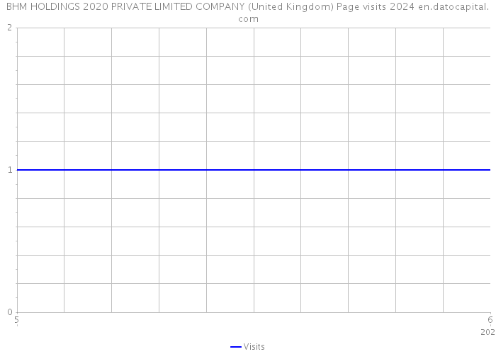BHM HOLDINGS 2020 PRIVATE LIMITED COMPANY (United Kingdom) Page visits 2024 
