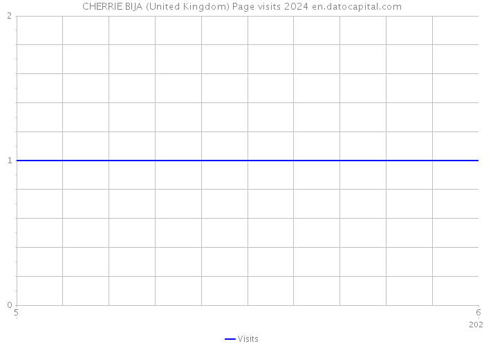 CHERRIE BIJA (United Kingdom) Page visits 2024 