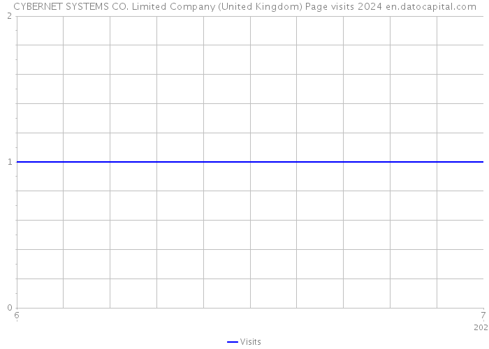 CYBERNET SYSTEMS CO. Limited Company (United Kingdom) Page visits 2024 
