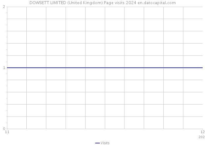 DOWSETT LIMITED (United Kingdom) Page visits 2024 