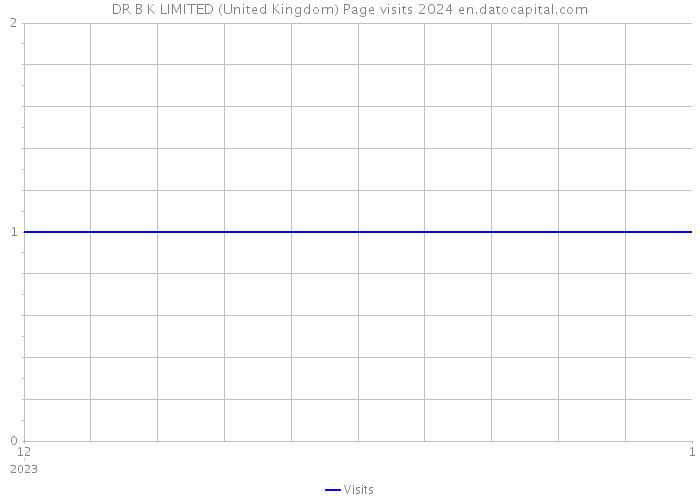 DR B K LIMITED (United Kingdom) Page visits 2024 