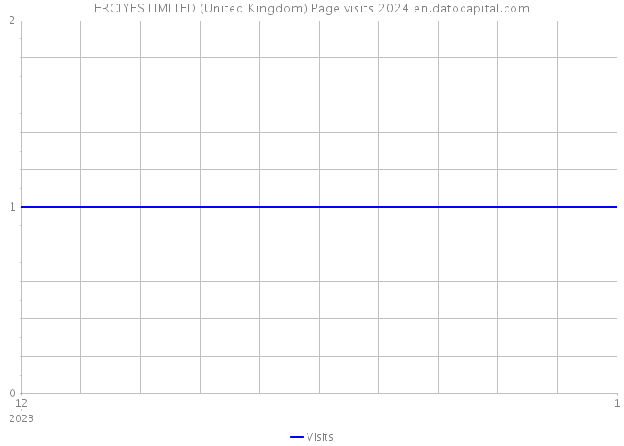 ERCIYES LIMITED (United Kingdom) Page visits 2024 