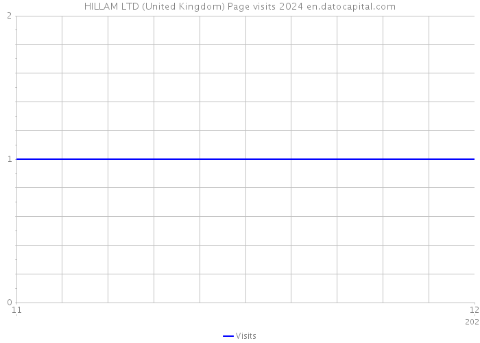 HILLAM LTD (United Kingdom) Page visits 2024 