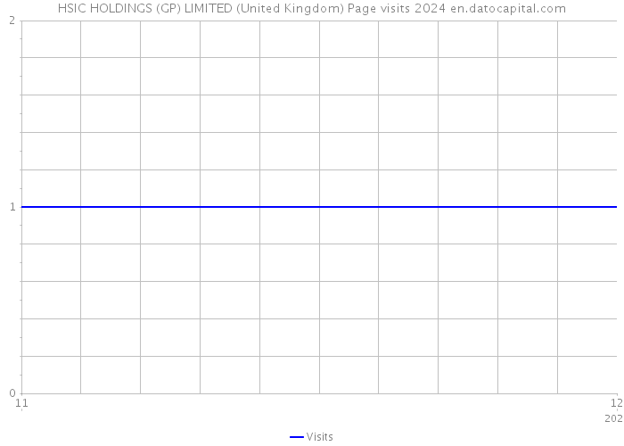 HSIC HOLDINGS (GP) LIMITED (United Kingdom) Page visits 2024 