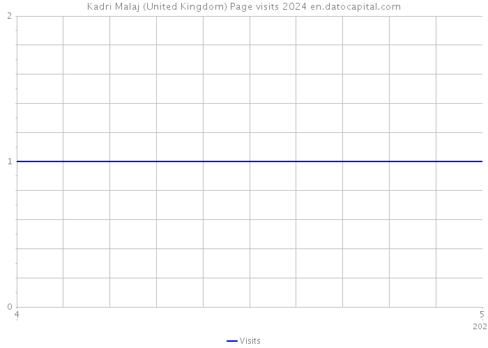 Kadri Malaj (United Kingdom) Page visits 2024 