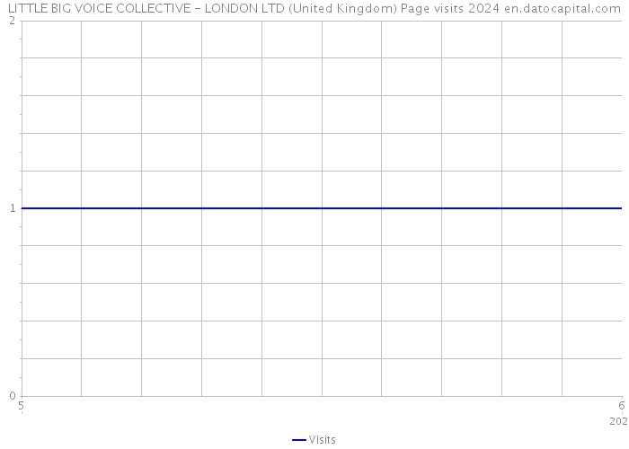 LITTLE BIG VOICE COLLECTIVE - LONDON LTD (United Kingdom) Page visits 2024 