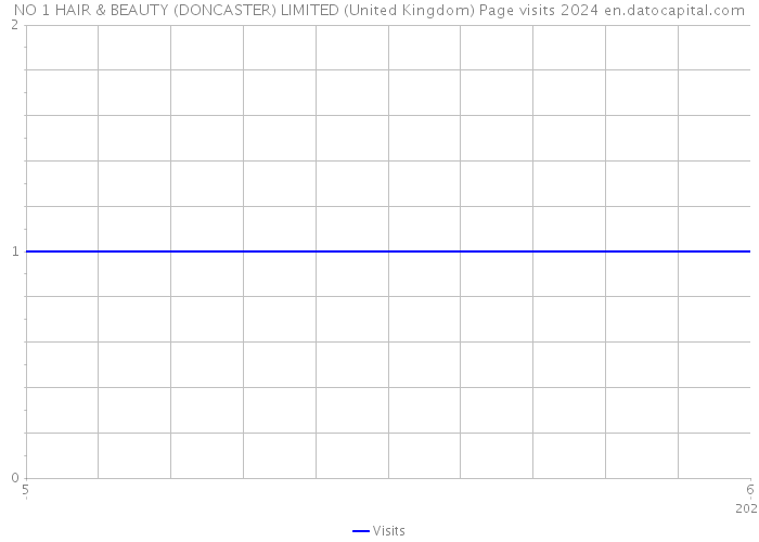 NO 1 HAIR & BEAUTY (DONCASTER) LIMITED (United Kingdom) Page visits 2024 
