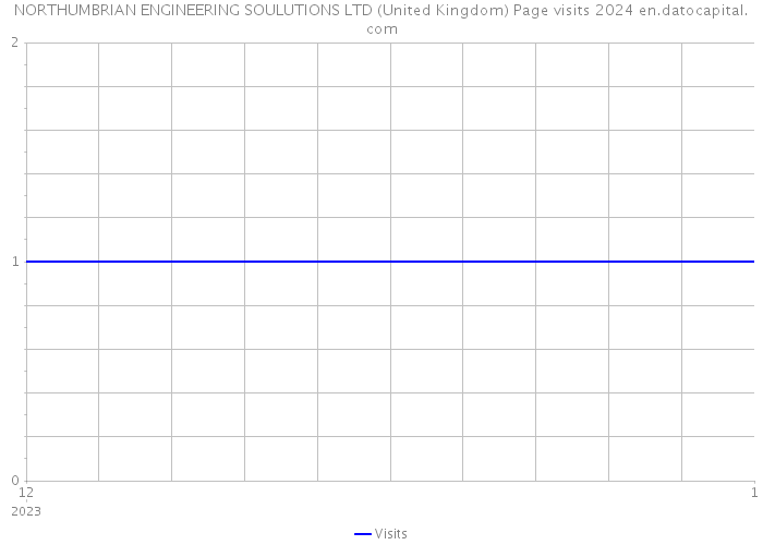 NORTHUMBRIAN ENGINEERING SOULUTIONS LTD (United Kingdom) Page visits 2024 