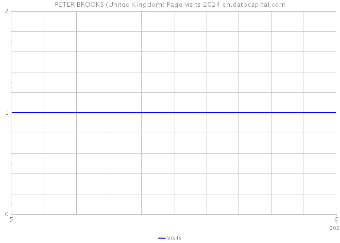 PETER BROOKS (United Kingdom) Page visits 2024 