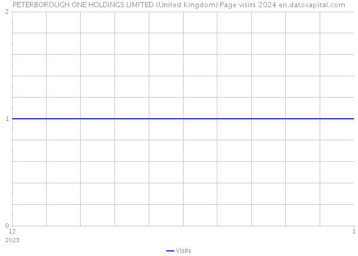 PETERBOROUGH ONE HOLDINGS LIMITED (United Kingdom) Page visits 2024 