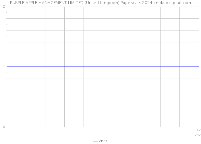 PURPLE APPLE MANAGEMENT LIMITED (United Kingdom) Page visits 2024 