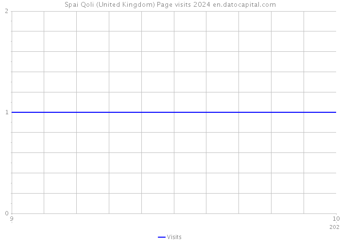 Spai Qoli (United Kingdom) Page visits 2024 