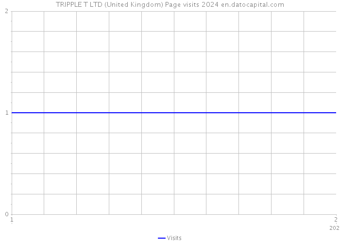 TRIPPLE T LTD (United Kingdom) Page visits 2024 