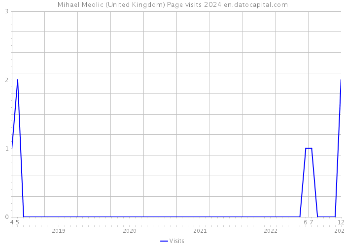 Mihael Meolic (United Kingdom) Page visits 2024 
