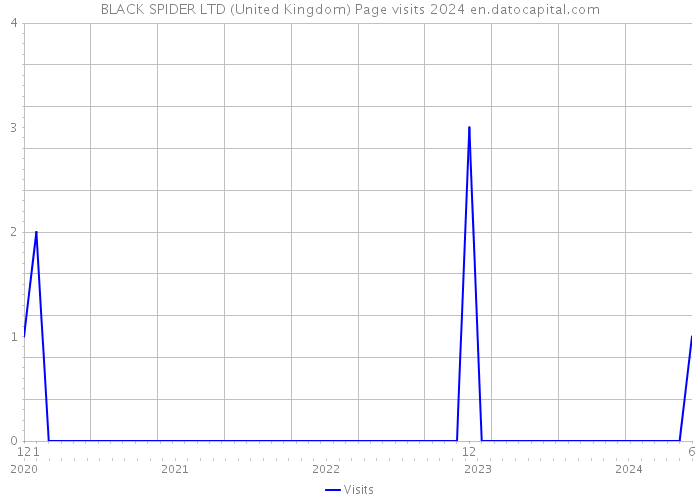 BLACK SPIDER LTD (United Kingdom) Page visits 2024 