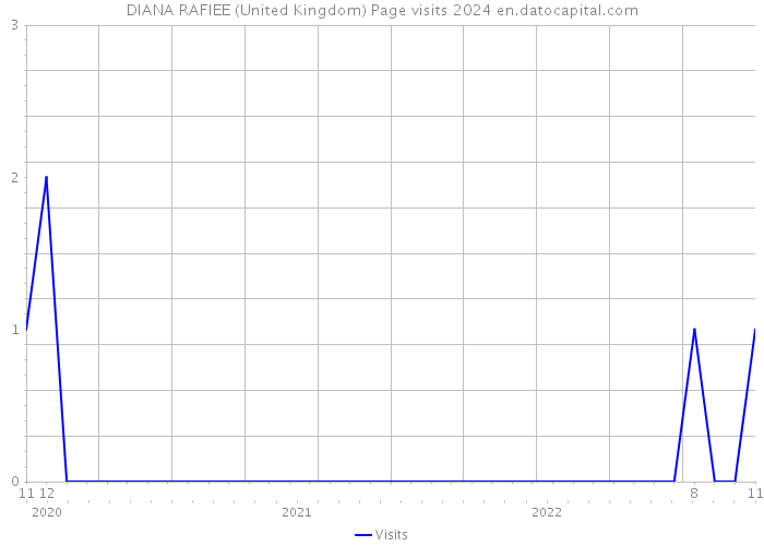 DIANA RAFIEE (United Kingdom) Page visits 2024 