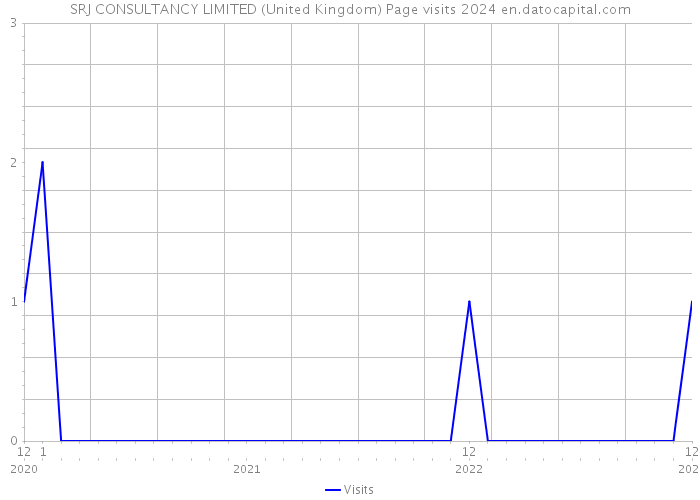 SRJ CONSULTANCY LIMITED (United Kingdom) Page visits 2024 