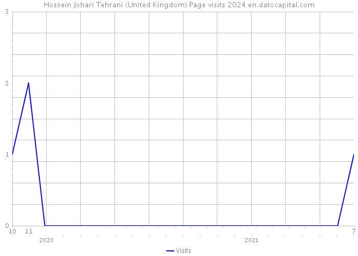Hossein Johari Tehrani (United Kingdom) Page visits 2024 