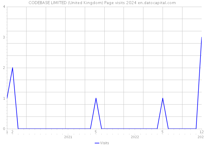 CODEBASE LIMITED (United Kingdom) Page visits 2024 