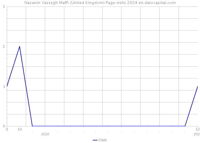 Nazanin Vassegh Maffi (United Kingdom) Page visits 2024 