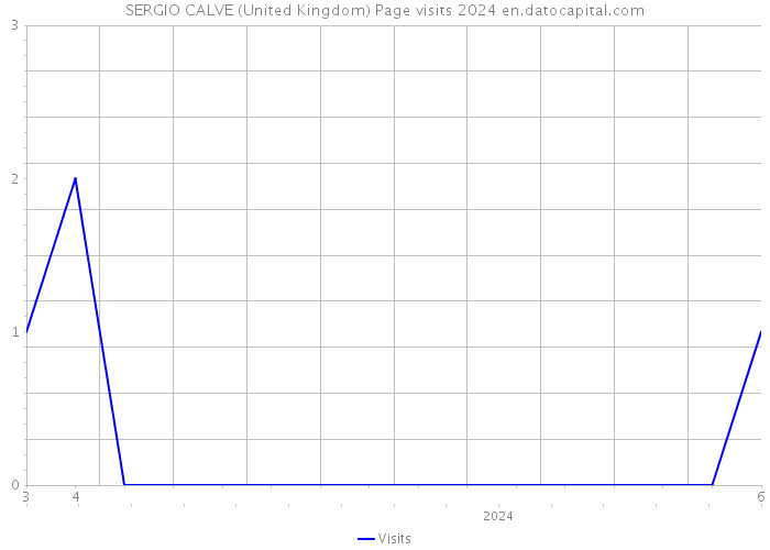 SERGIO CALVE (United Kingdom) Page visits 2024 