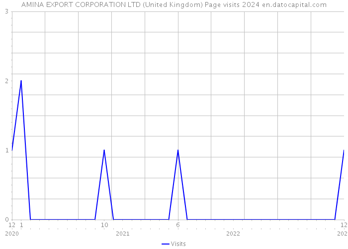 AMINA EXPORT CORPORATION LTD (United Kingdom) Page visits 2024 