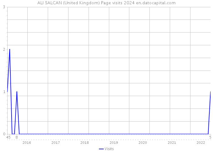 ALI SALCAN (United Kingdom) Page visits 2024 