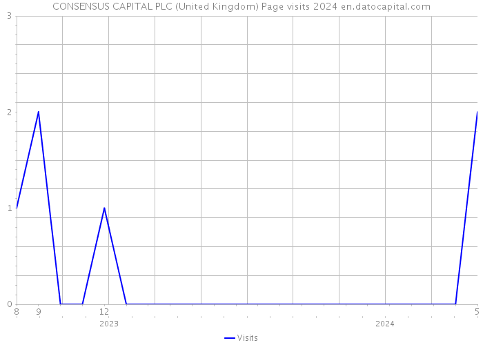 CONSENSUS CAPITAL PLC (United Kingdom) Page visits 2024 
