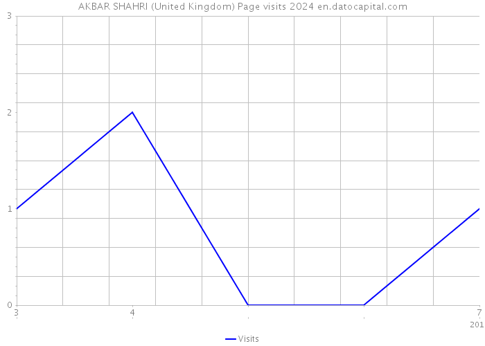 AKBAR SHAHRI (United Kingdom) Page visits 2024 