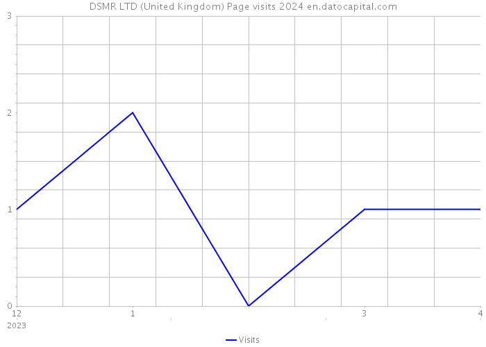 DSMR LTD (United Kingdom) Page visits 2024 