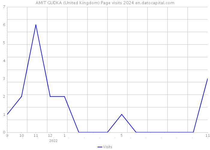 AMIT GUDKA (United Kingdom) Page visits 2024 