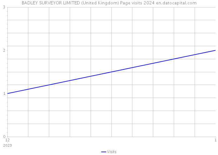 BADLEY SURVEYOR LIMITED (United Kingdom) Page visits 2024 